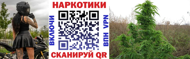 КОКАИН Нефтегорск