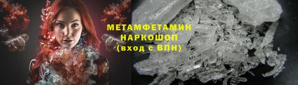 трава Корсаков