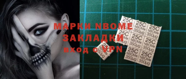 трава Корсаков