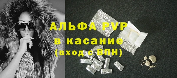 молекула духа Костерёво