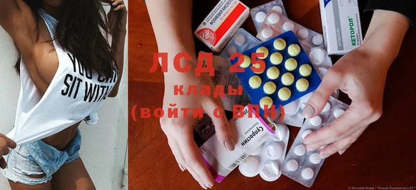 молекула духа Костерёво