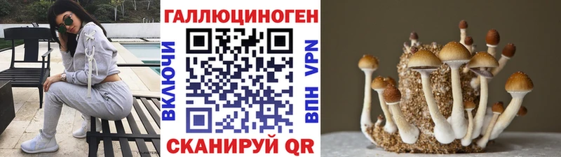 Купить закладки  Нефтегорск  Псилоцибиновые грибы Psilocybe 